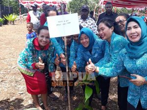 Papua Barat Genjot Kakao di Manokwari
