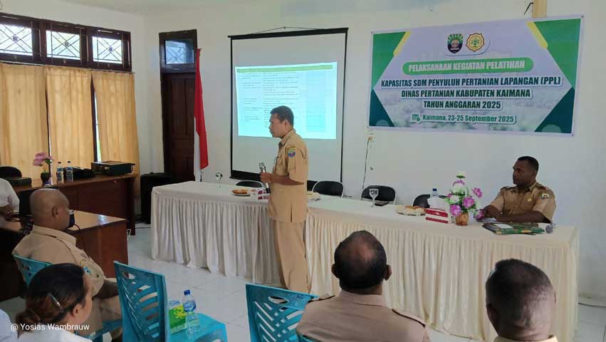 DKPP Kaimana Latih Penyuluh Pertanian Lapangan